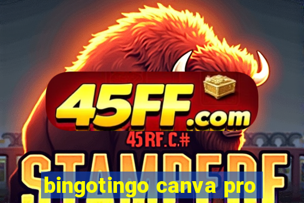 bingotingo canva pro